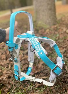 a blue and white dog harness is being held up by someone's hand in the woods