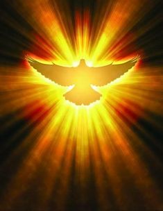 an image of a bird flying in the sky with bright light coming from behind it