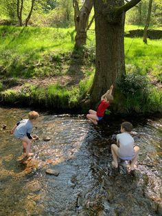 three children are playing in the water near a tree