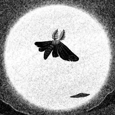 a black and white image of a moth flying through the air with leaves on its back
