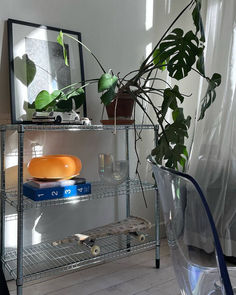 a metal shelving unit with plants and books on it in front of a mirror