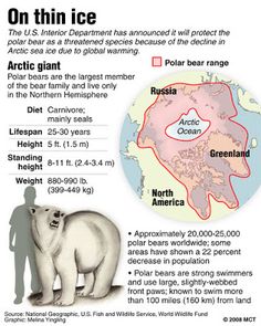 Polar Bear Info, Polar Bear Habitat Map, Polar Bear Map, Polar Bear Facts Poster, Polar Bear Article, Polar Bear Population Estimate, Polar Bear Left-handed Fact, Polar Bear Population Numbers, Polar Bear Size Comparison