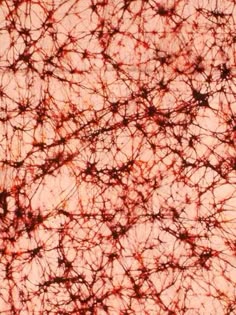 red and black ink splattered on top of a white paper with brown spots