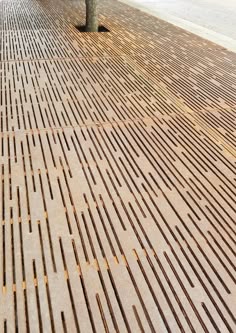 a bench sitting on the side of a road next to a tree