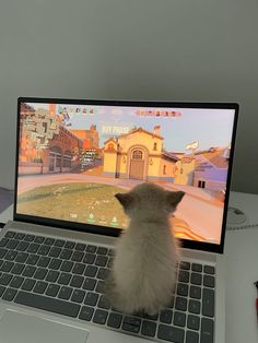 a kitten sitting on top of a laptop computer