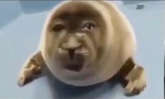 a blurry image of a monkey making a face with its mouth open and tongue out