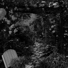 a black and white photo of a bench in the middle of a garden with flowers