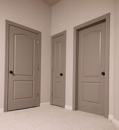 three doors in a room with carpeted flooring and walls painted light gray, one door is open to the other side