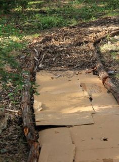 a piece of wood that is laying on the ground next to some grass and trees