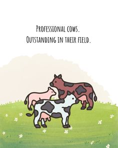 Professional cows. Outstanding in their fieldpuns pun punquotes wordpun cutequote cute funny funnypun funnyquote wordplay dailypun punny joke dadjoke funnydadjoke stressbuster relievestress cowpun animalpun outstanding