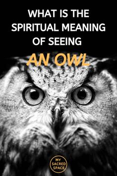 an owl with the words, what is the spirit meaning of seeing? and how does it