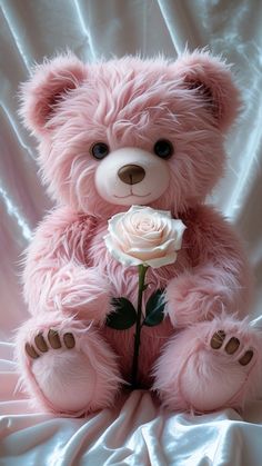a pink teddy bear holding a white rose