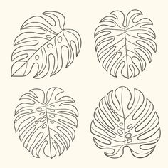 four different types of tropical leaves in black and white on a light background, each with an individual's own line drawing
