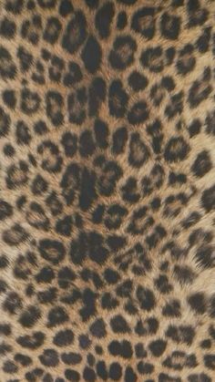 an animal print pattern is shown in brown and black colors on the skin of a cheetah