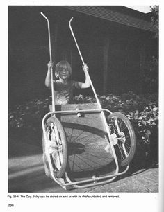 Freth's Recumbents: Dog Sulky Utv Dog Seat, How To Make A Dog Agility Seesaw, Dog Powered Bike, Dog Cart Bike, How To Build A Dog Cart, Dog Agility Seesaw, Dog Agility Diy, Dog Sulky, Diy Dog Pulling Cart