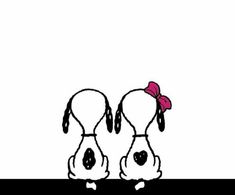 two dogs with bows on their heads sitting next to each other in front of a black and white background