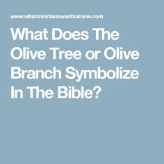 what does the olive tree or olive branch symbolize in the bible? - which is it