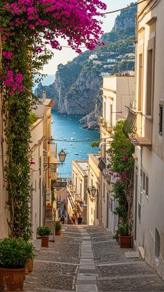 an alley way with potted plants and flowers on either side, overlooking the water