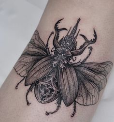 a black and white tattoo of a bug on the leg, with an intricate design
