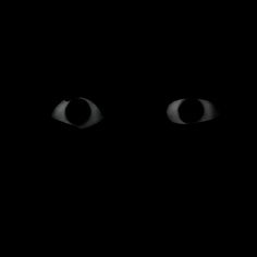 the eyes of a cat are glowing in the dark