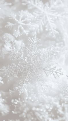 snow flakes are seen in this black and white photo, as if they were frosting