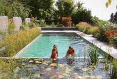 Large Natural Swimming Pools, Natural Swimming Pool With Plants, Natural Swimming Pond In Garden, Natural Swimming Pond With Plants, Nature Swimming Pool, Swimming Pool Natural, Monet Koi Pond, Bio Pool Natural, Eco-friendly Pond Solutions