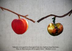an apple hanging from a tree branch with the words what do you produce?