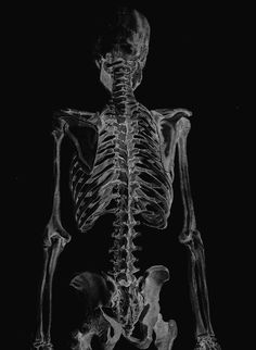 a skeleton is shown in black and white