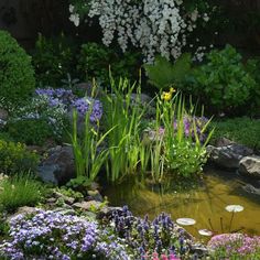 a small pond surrounded by flowers and rocks