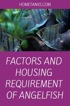 some fish are swimming in the water with text that reads, factorors and housing department of