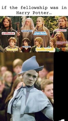 harry potter and the wizard's hat with caption that reads, if the fellowship was in harry potter