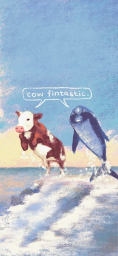 two cows are running in the water with one cow saying cov intotatic