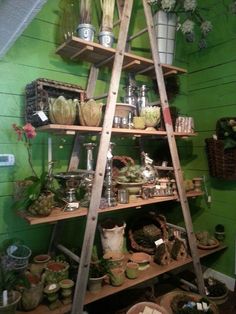 a wooden shelf filled with lots of plants and potted plants on top of it