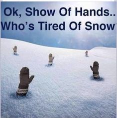 Snowy Weather Humor, Snow Humor Quotes, Funny Winter Humor, Winter Snow Humor, Snow Funny Quotes, Snow Storm Funny Quotes, Winter Weather Humor Quotes, Snow Funny Humor, Winter Weather Memes Funny