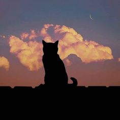 a cat is sitting on the roof watching the moon go down in the sky with clouds behind it