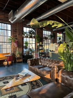 a living room filled with lots of furniture and plants on the wall next to large windows
