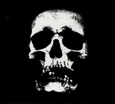 a black and white image of a skull