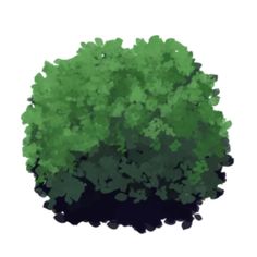 a green tree with lots of leaves on it's top and bottom branches in the middle