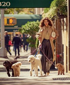 a woman walking her poodles down the street in new york city on instagram