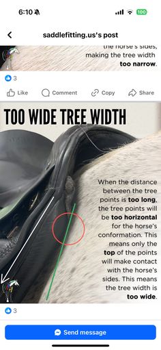 an image of a horse's saddle with the words too wide tree width
