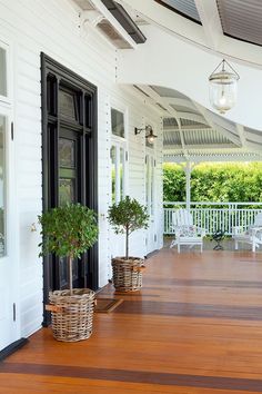 two potted trees on the front porch of a house