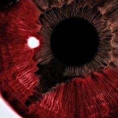 an extreme close up view of the iris of a human eye, with red and black colors