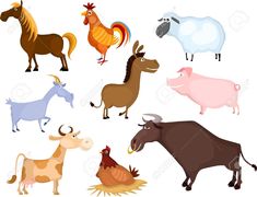 various farm animals and birds on a white background stock photo, royalty illustration for your design
