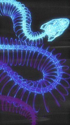 a blue and purple snake is glowing in the dark