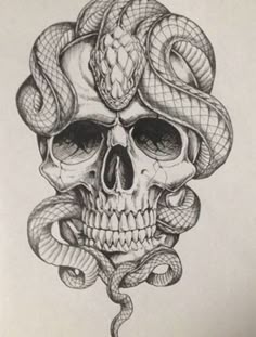a drawing of a skull with snakes on it's head and a snake in the middle