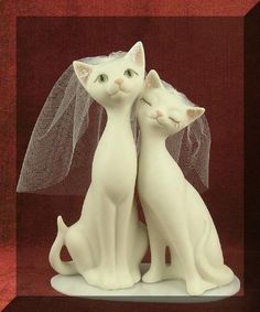 two white cats with veils on their heads sitting next to each other in front of a red background