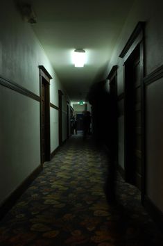 an empty hallway with two doors leading to another room in the background and light shining on the floor
