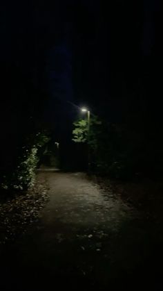 a dark path leading into the woods at night with street lights lit up on either side
