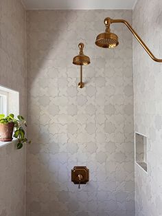 a white toilet sitting next to a shower head in a bath room under a window
