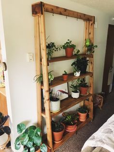 a wooden shelf filled with potted plants